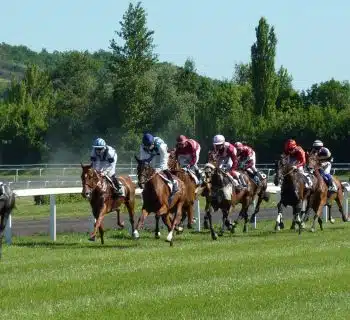 Paris sportifs : comment choisir un site sur lequel parier ?