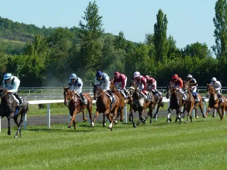 Paris sportifs : comment choisir un site sur lequel parier ?